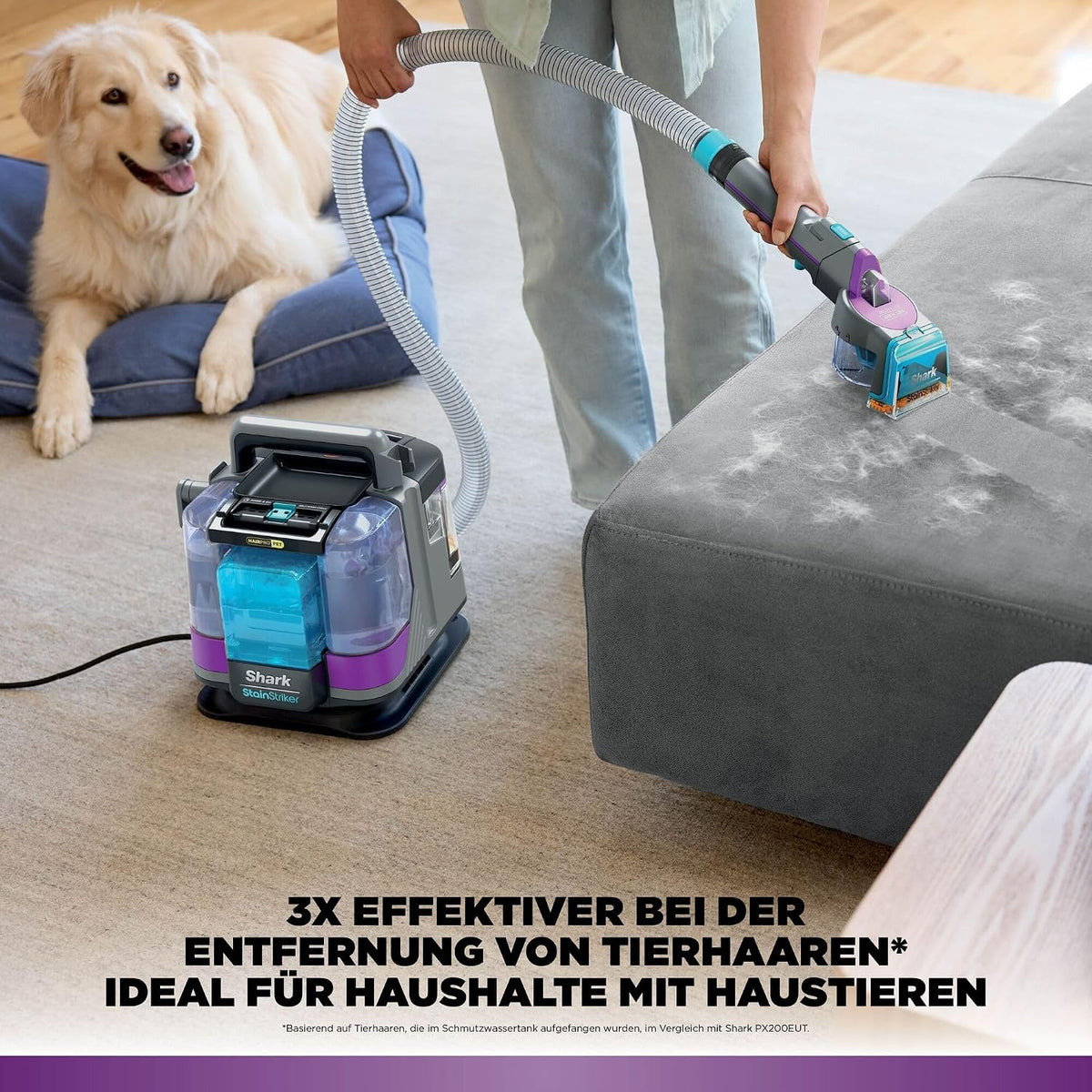 Shark StainStriker HairPro Pet Fleckenreiniger, 450 W Saugkraft, entfernt hartnäckige Flecken, Gerüche und festsitzende Tierhaare, leicht & tragbar, inkl. 4 Aufsätze und 2 Reinigungsmittel PX250EUT